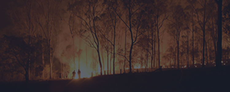 Bushfire support and assistance